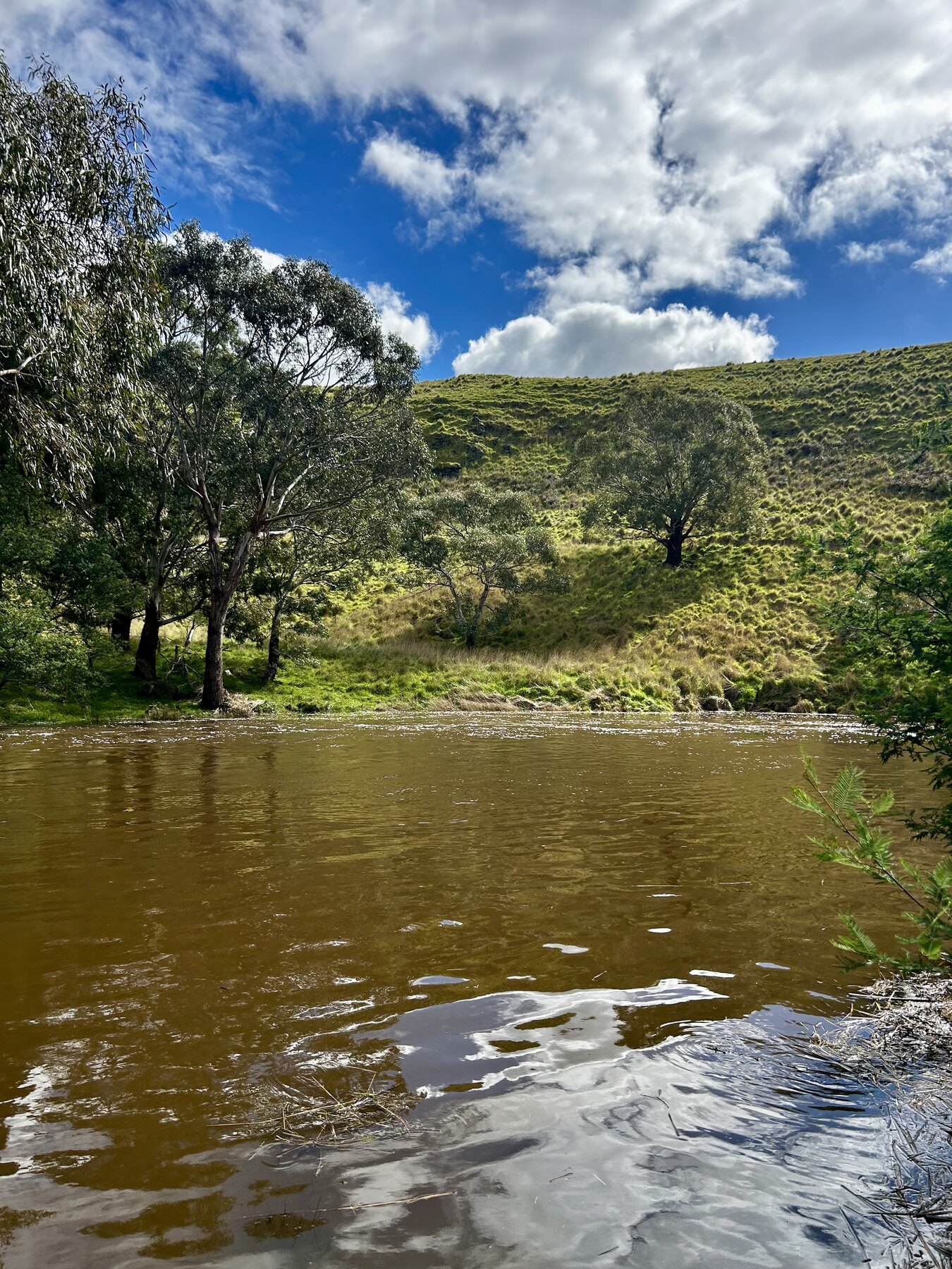 The year-round swimming hole on Deep Creek beneath a grassy hillside
