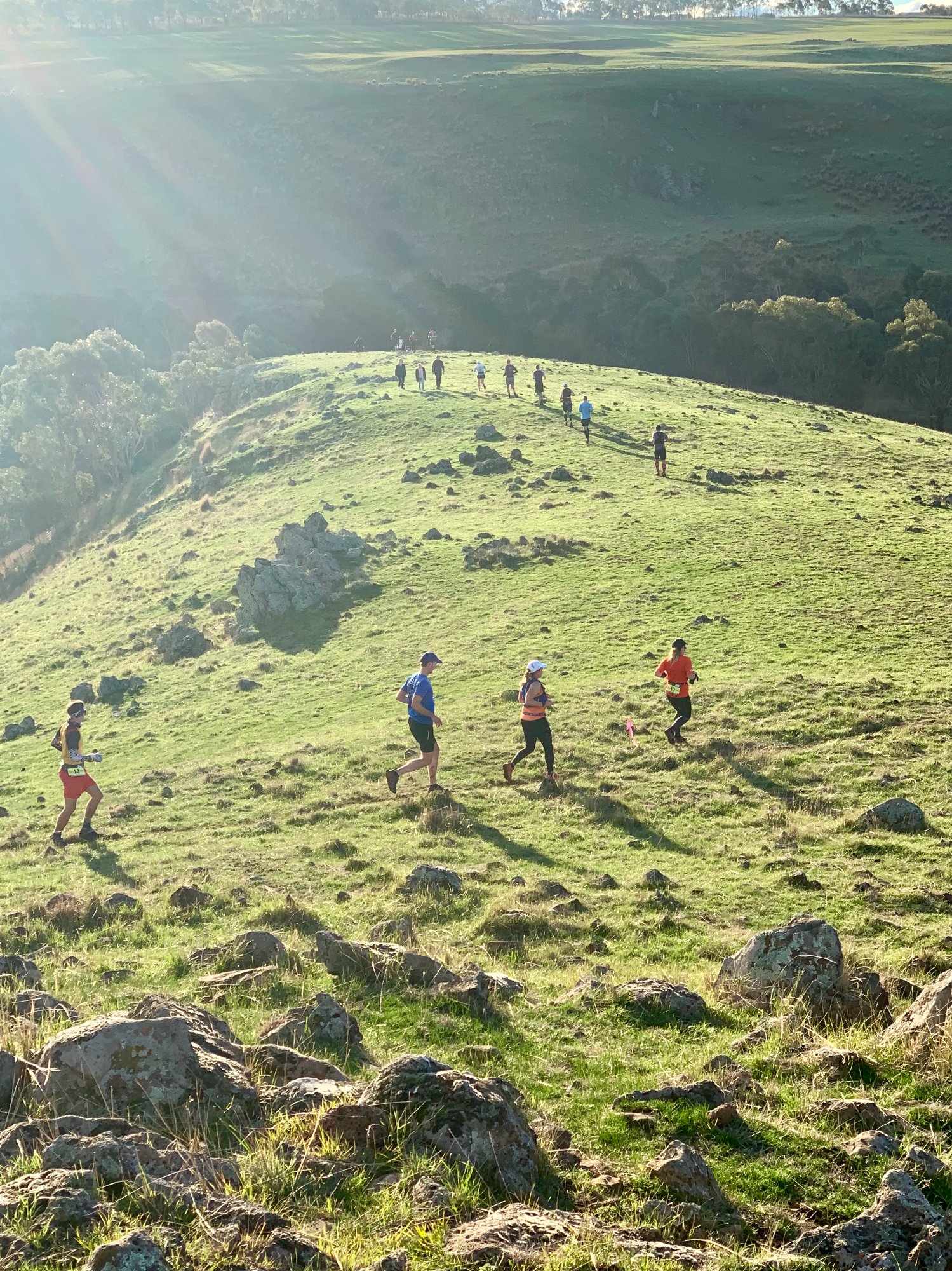 Runners on the rocky ridge at the Back Paddock Ultra